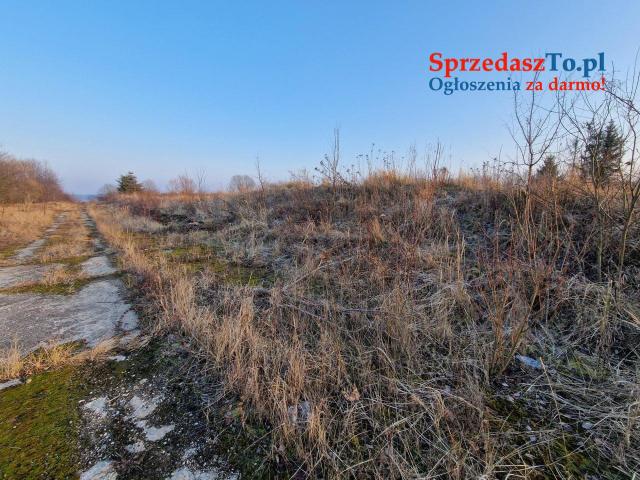nieruchmość na sprzedaż - 6