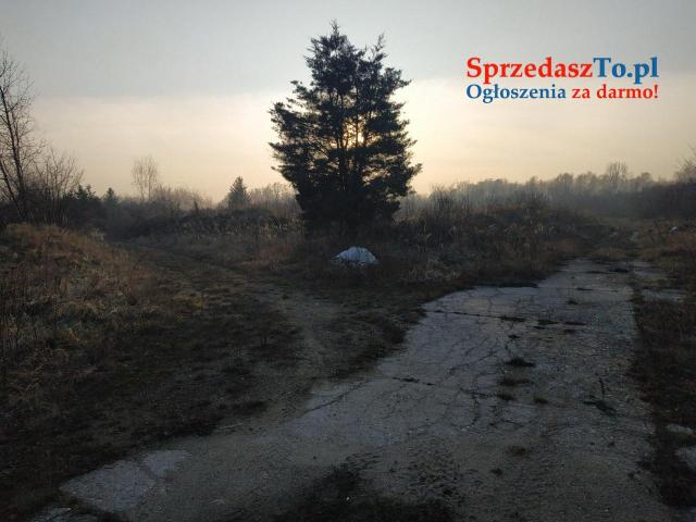 nieruchmość na sprzedaż - 7