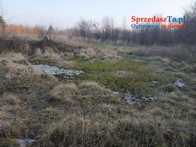 nieruchmość na sprzedaż - 9