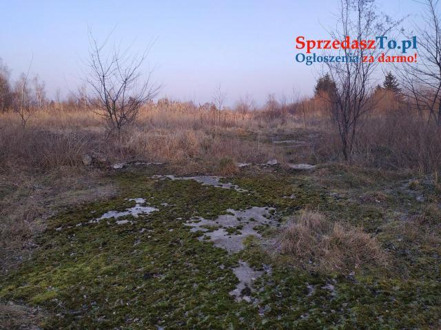 nieruchmość na sprzedaż - 10