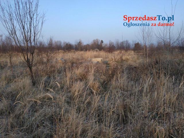 nieruchmość na sprzedaż - 11