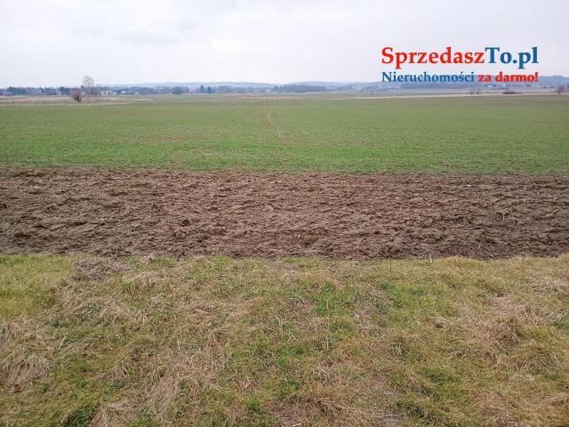 Nieruchomość gruntowa z budynkami - 6