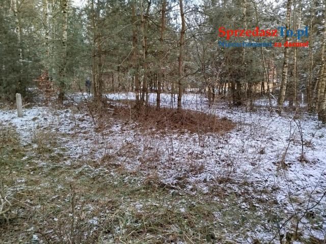 Sprzedam 2 działki z warunkami do zabudowy - Czermin gm. Bralin
