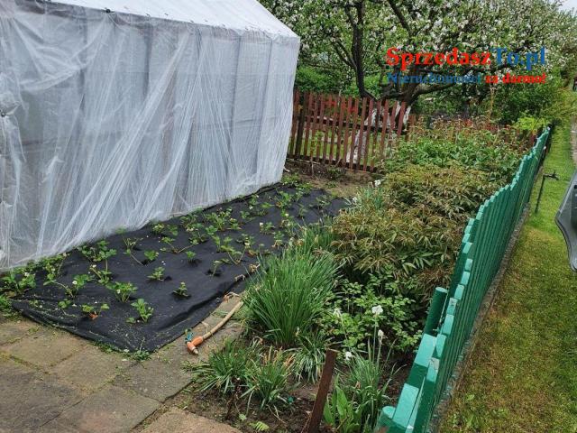 Dzialka Rod Szarotka - 7