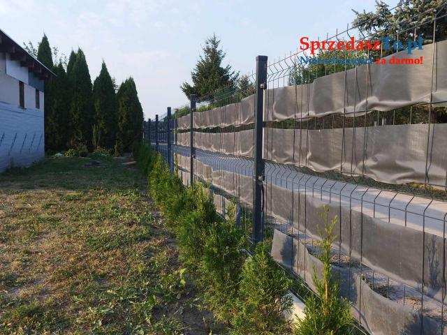 Działka ROD Łowiza - 7