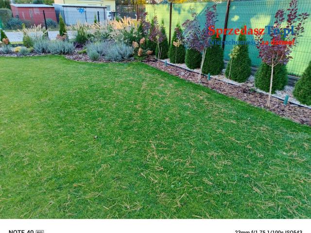 Dom energooszczędny - 11