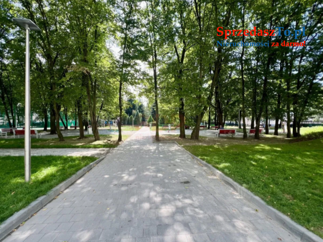 Bezpośrednio 3-pokojowe, Grabiszyn, remont gen '25 - 19