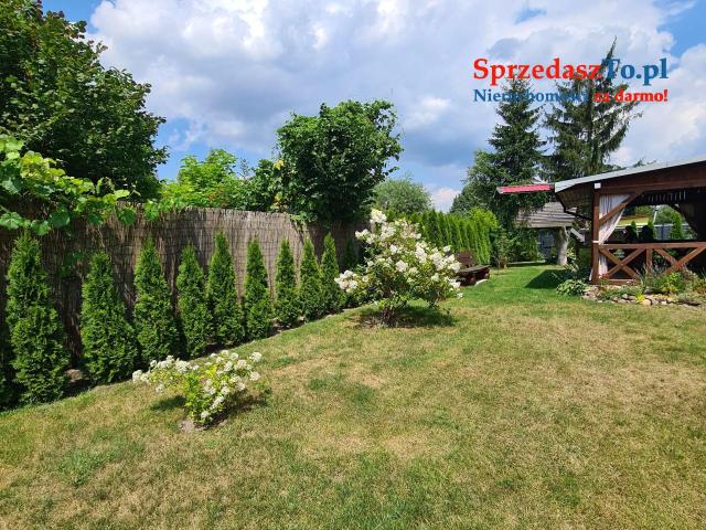 Działka rekreacyjna - 6