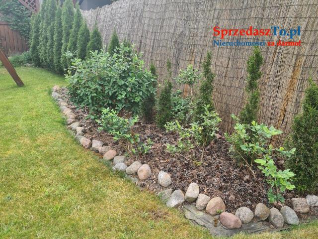 Działka rekreacyjna - 13