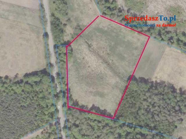 Działka 1,65 ha Niedźwiada Duża, koło lasu, 20 km od Kazimierza Dolnego