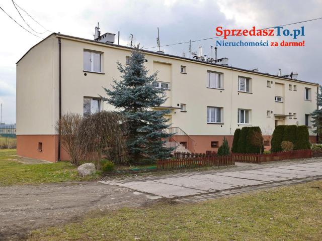 Bezczynszowe mieszkanie, piwnica, garaż