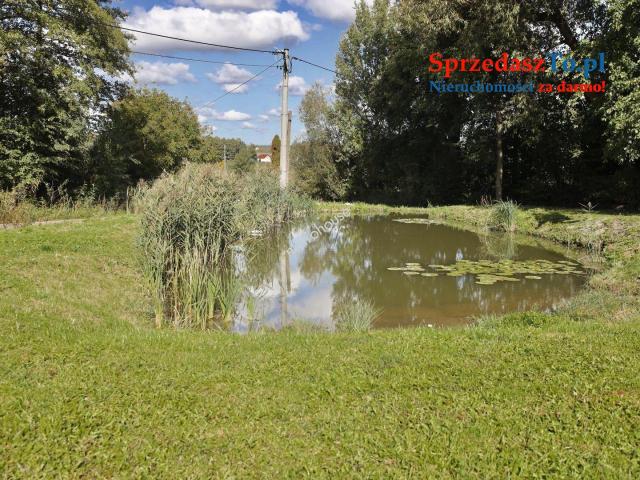 Dom całoroczny, duża działka, oczko wodne, las - 10