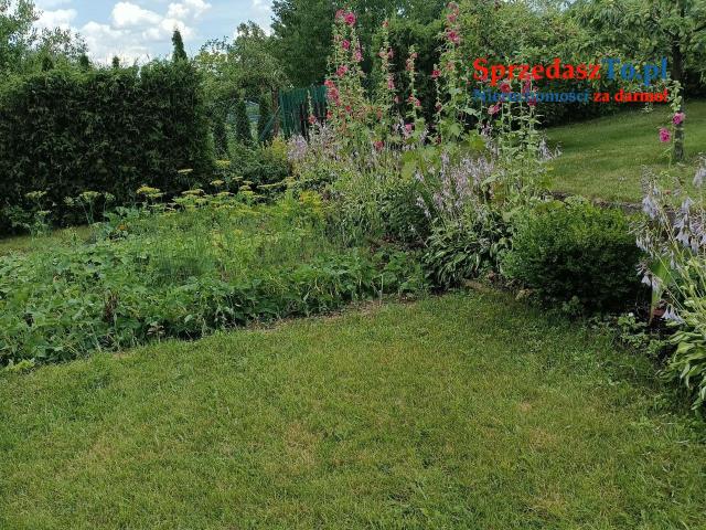 Sprzedam dzialke - 6