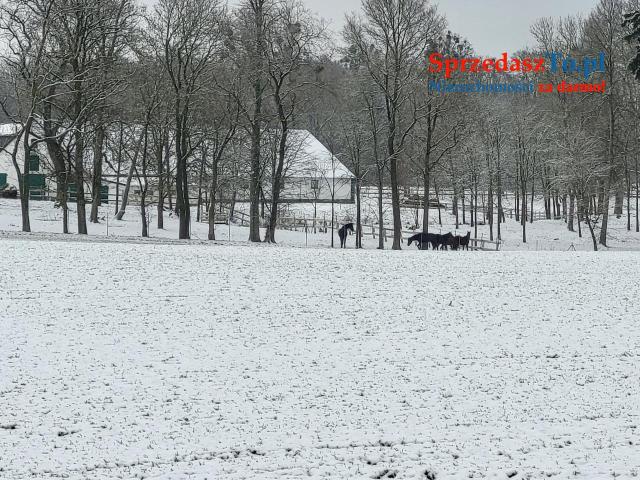 Klimatyczny Dom na Kaszubach nad jeziorem z drewna i cegły - 15