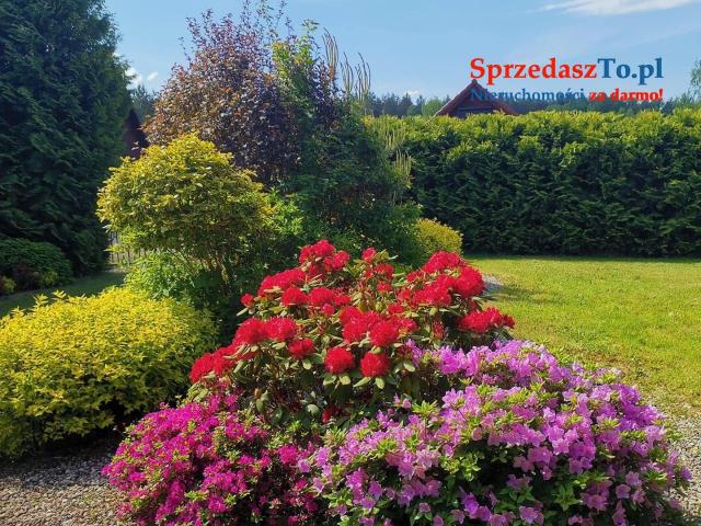 Domek letniskowy Wichrowy Zakątek - 11