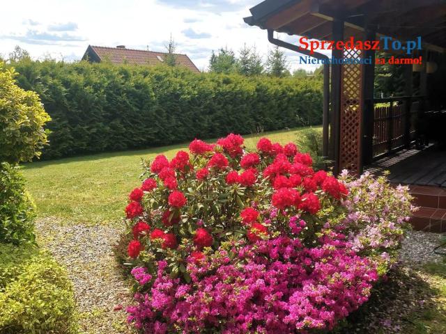 Domek letniskowy Wichrowy Zakątek - 14