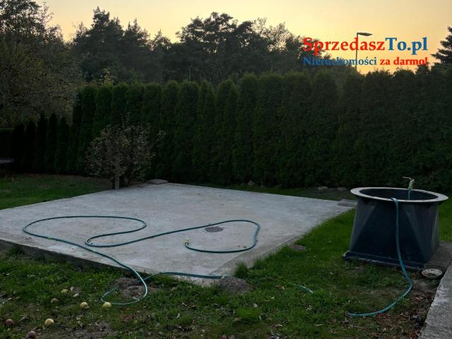 Działka rekreacyjna ROD Kalina - 6