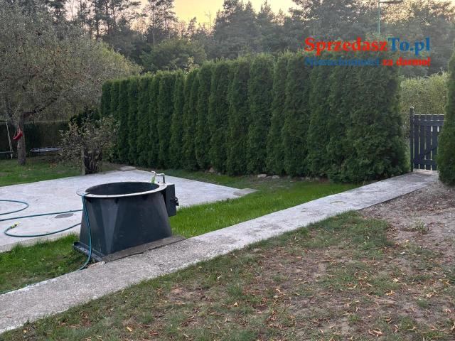 Działka rekreacyjna ROD Kalina - 8