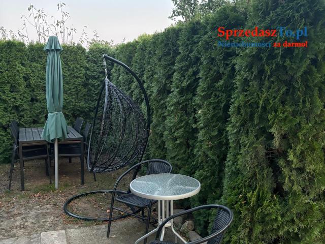 Działka rekreacyjna ROD Kalina - 9