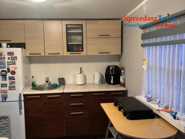 Działka rekreacyjna ROD Kalina - 12