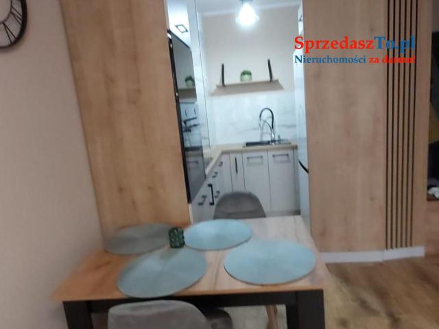 Mieszkanie 40m2 na wynajem - 8