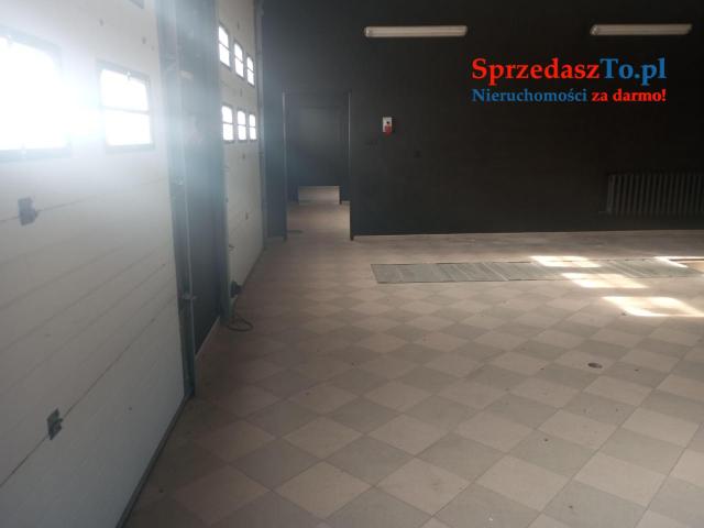 Obiekt z biurem i mieszkaniem 1 km od granicy Pilawy. - 8