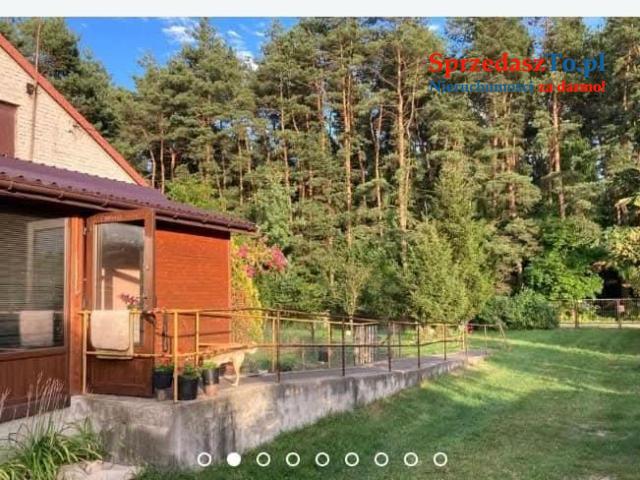 Sprzedam bezpośrednio siedlisko z budynkami gospodarczymi oraz piękna działka.