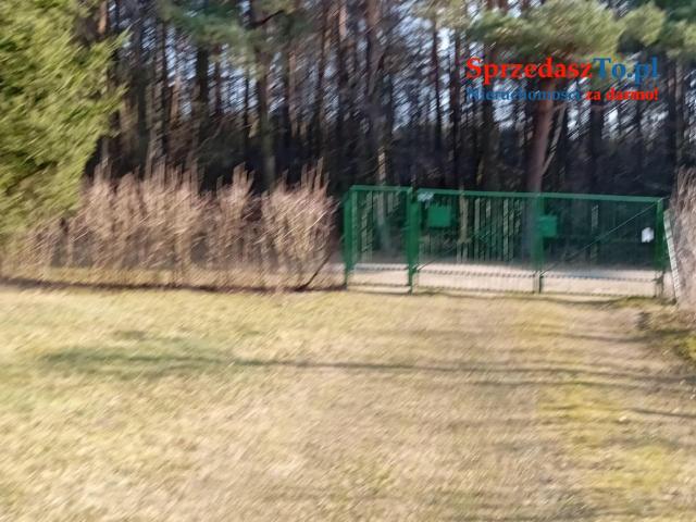 Sprzedam bezpośrednio siedlisko z budynkami gospodarczymi oraz piękna działka.