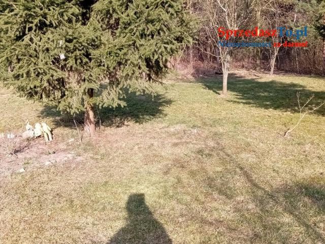 Sprzedam bezpośrednio siedlisko z budynkami gospodarczymi oraz piękna działka. - 6