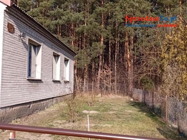 Sprzedam bezpośrednio siedlisko z budynkami gospodarczymi oraz piękna działka. - 7