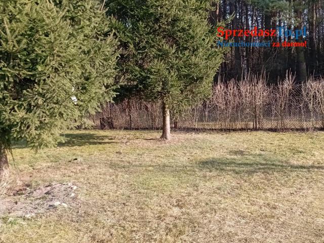 Sprzedam bezpośrednio siedlisko z budynkami gospodarczymi oraz piękna działka. - 8