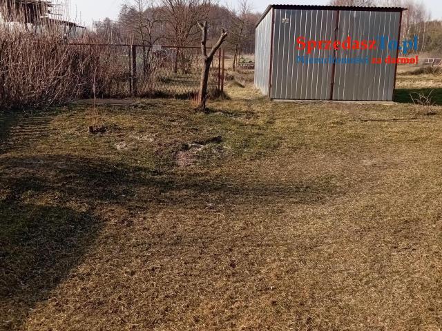 Sprzedam bezpośrednio siedlisko z budynkami gospodarczymi oraz piękna działka. - 9