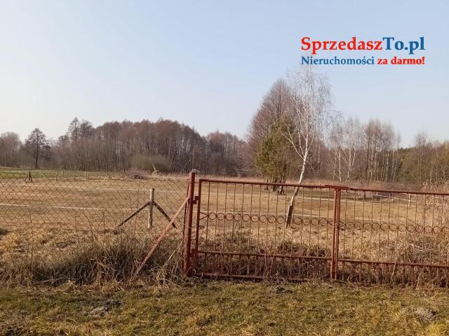 Sprzedam bezpośrednio siedlisko z budynkami gospodarczymi oraz piękna działka. - 11