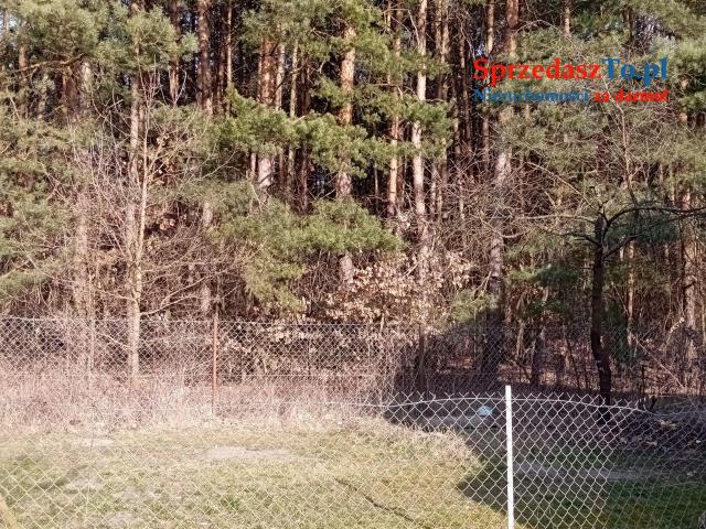 Sprzedam bezpośrednio siedlisko z budynkami gospodarczymi oraz piękna działka. - 12