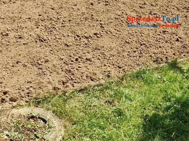 Działka rekreacyjna - 6