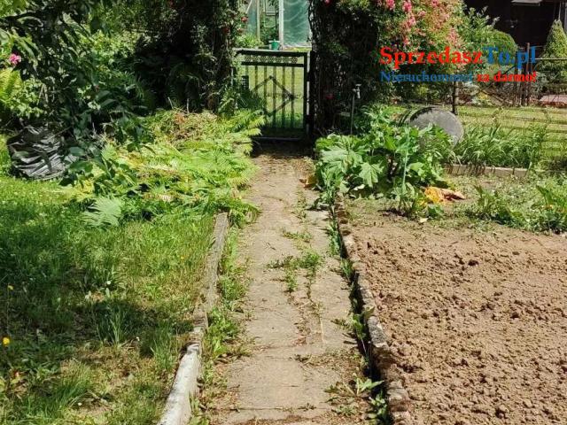 Działka rekreacyjna - 7