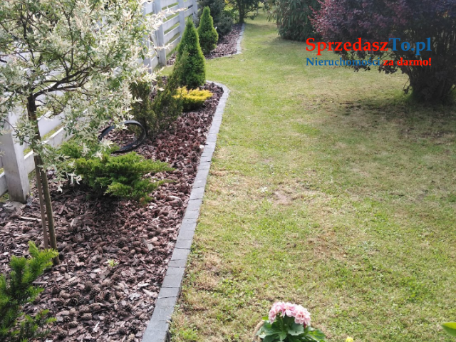 Działka rekreacyjna ROD - 7