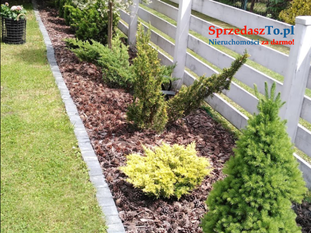 Działka rekreacyjna ROD - 8