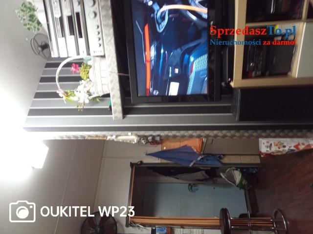 Kontener zagospdarowany - 7