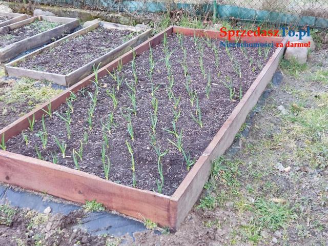 SPRZEDAM DZIAŁKA ROD - 6