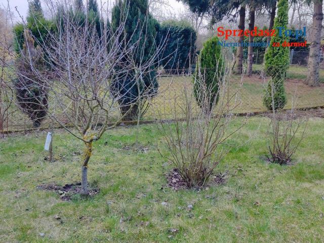 SPRZEDAM DZIAŁKA ROD - 7