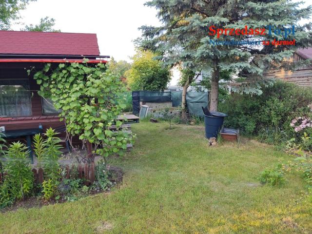 SPRZEDAM DZIAŁKA ROD - 10