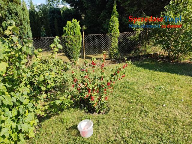 SPRZEDAM DZIAŁKA ROD - 11