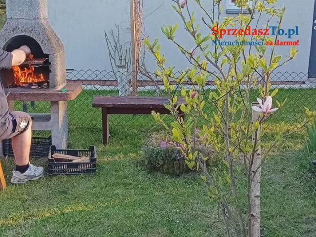 Sprzedam działkę ROD. - 9