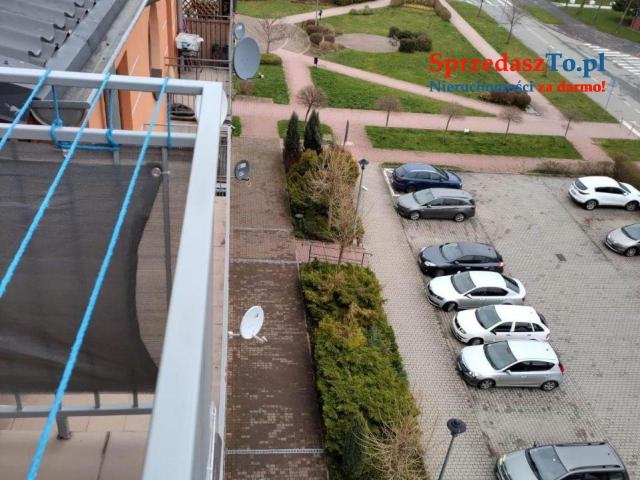 Mieszkanie do wynajęcia 58m2 - 8