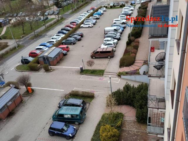 Mieszkanie do wynajęcia 58m2 - 9