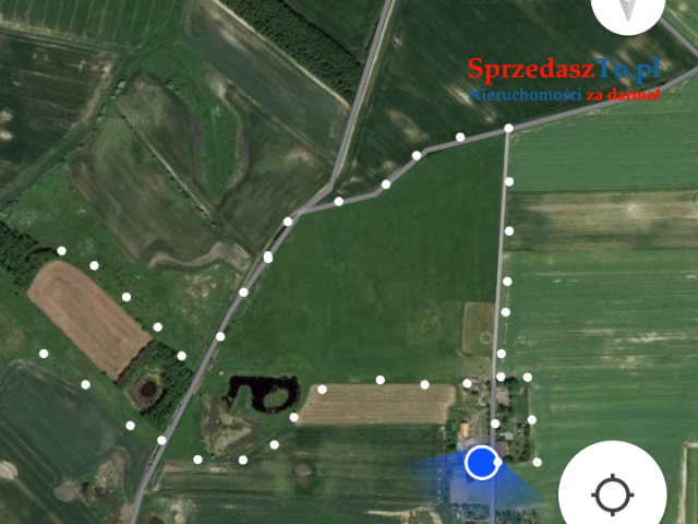 Siedlisko stadnina blisko Gdańska - 12