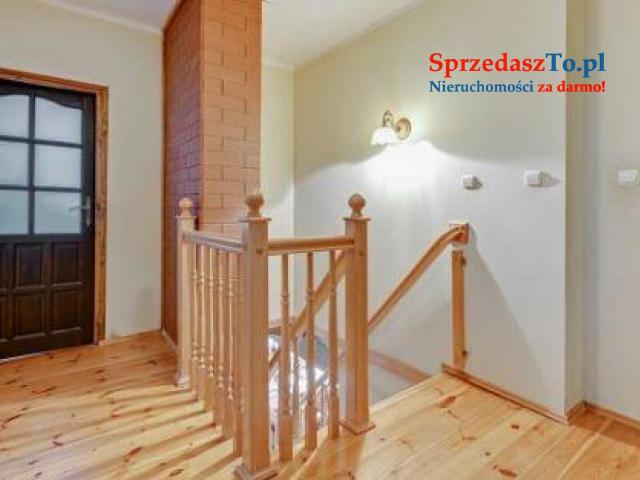 Siedlisko stadnina blisko Gdańska - 13