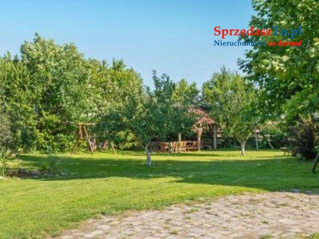 Siedlisko stadnina blisko Gdańska - 16