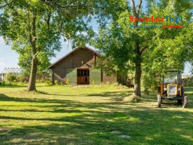 Siedlisko stadnina blisko Gdańska - 18